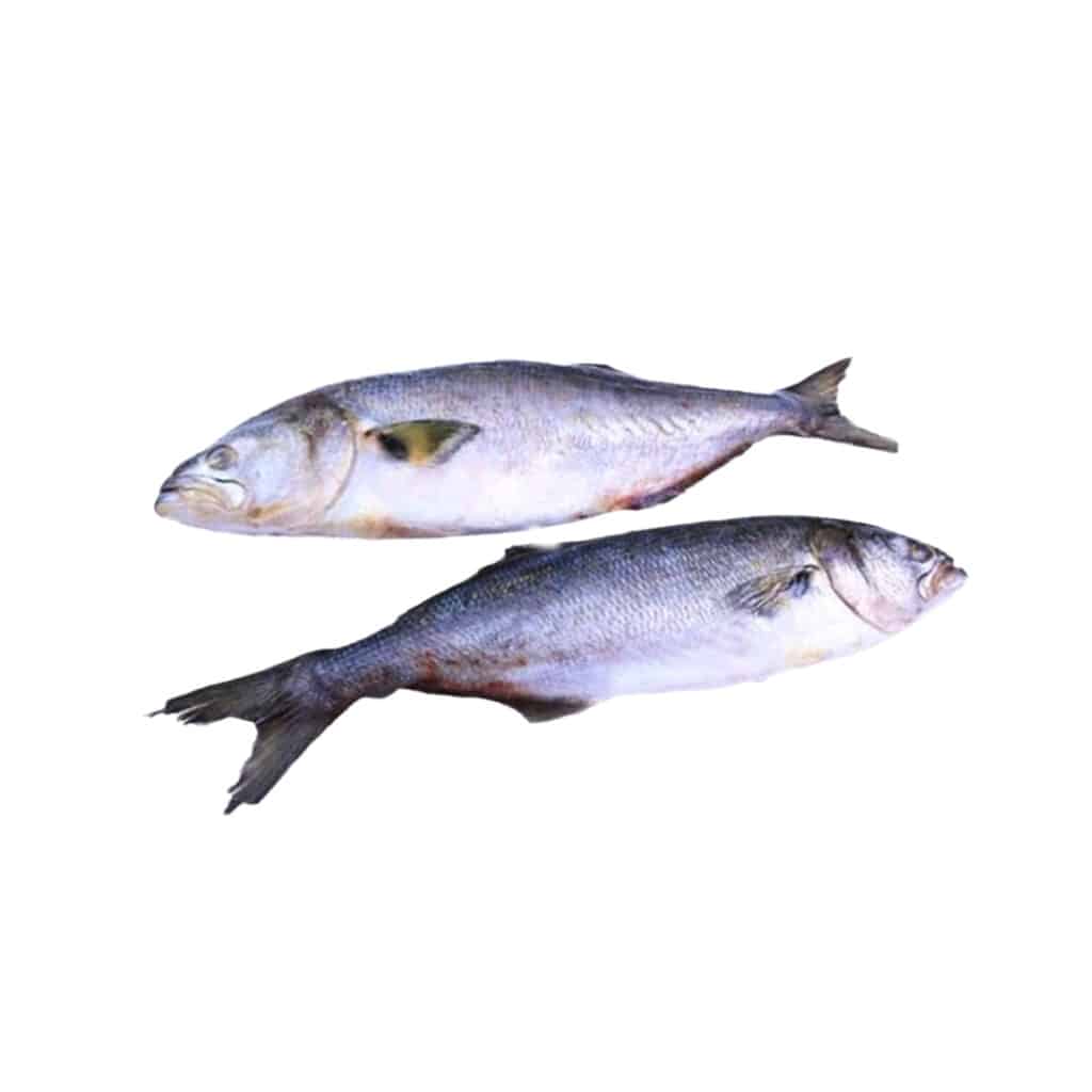 Peixe Anchova Int Individual KG