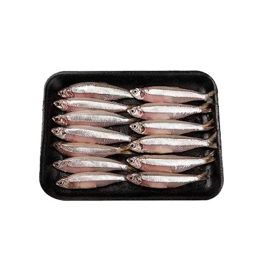 Peixe Manjuba Int KG