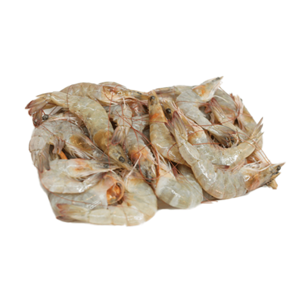 Camarao C/Casca Int Fresco Alcan 13/14G