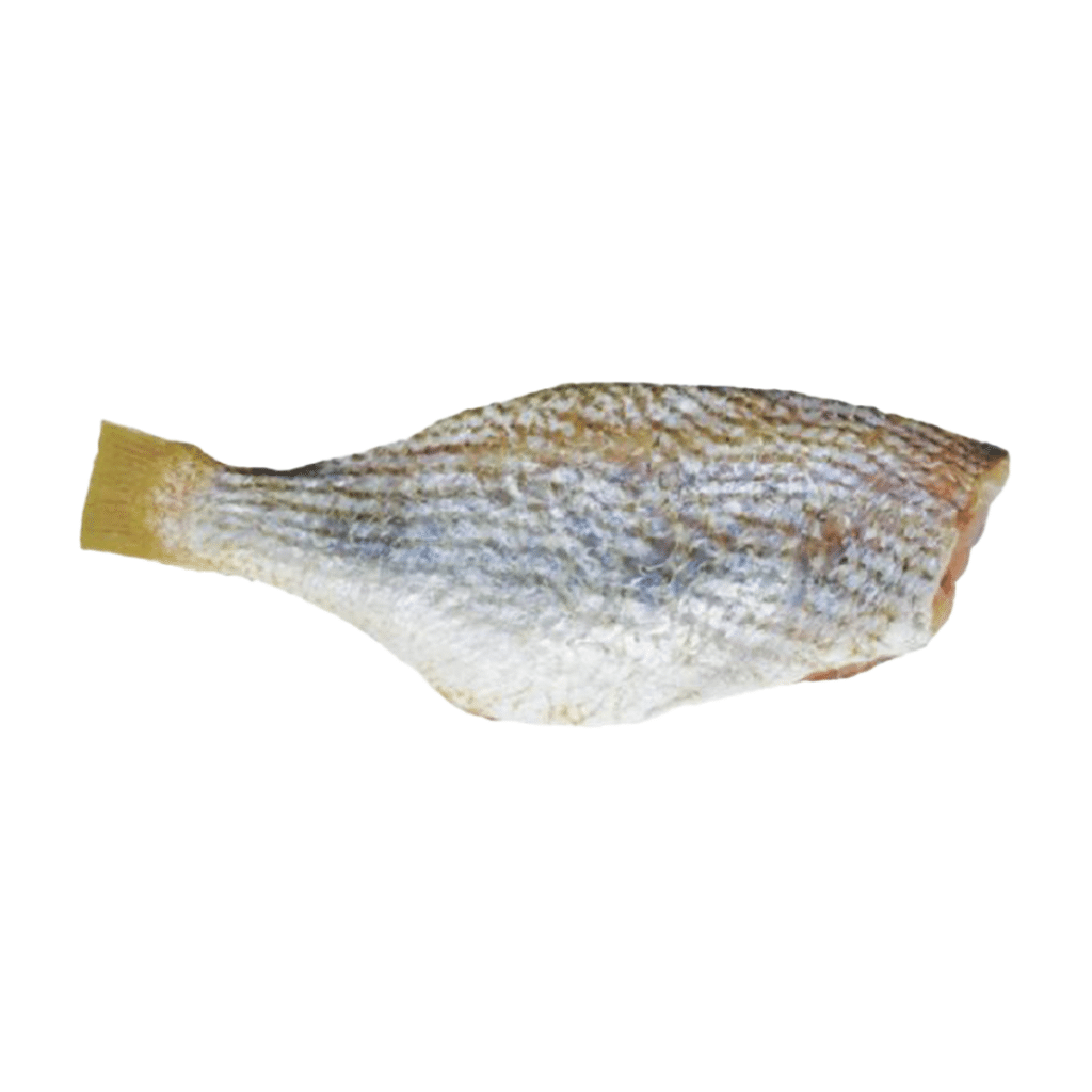 Peixe Castanha Evisc Pescal Pescal KG