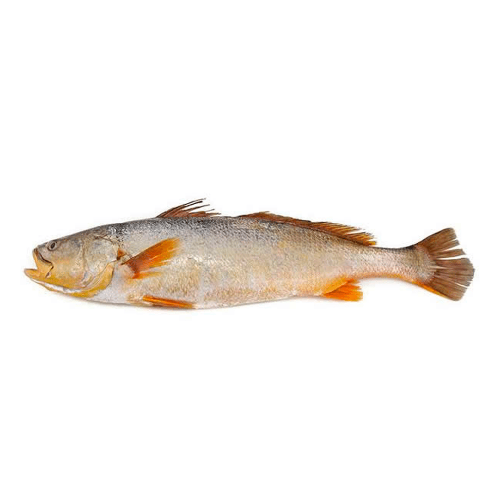 Peixe Pescada Cong KG